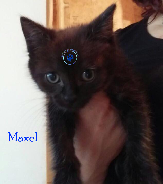 Maxel