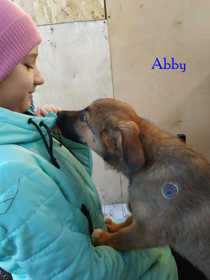 Elena/Hunde/Abby/Abby11mN.jpg