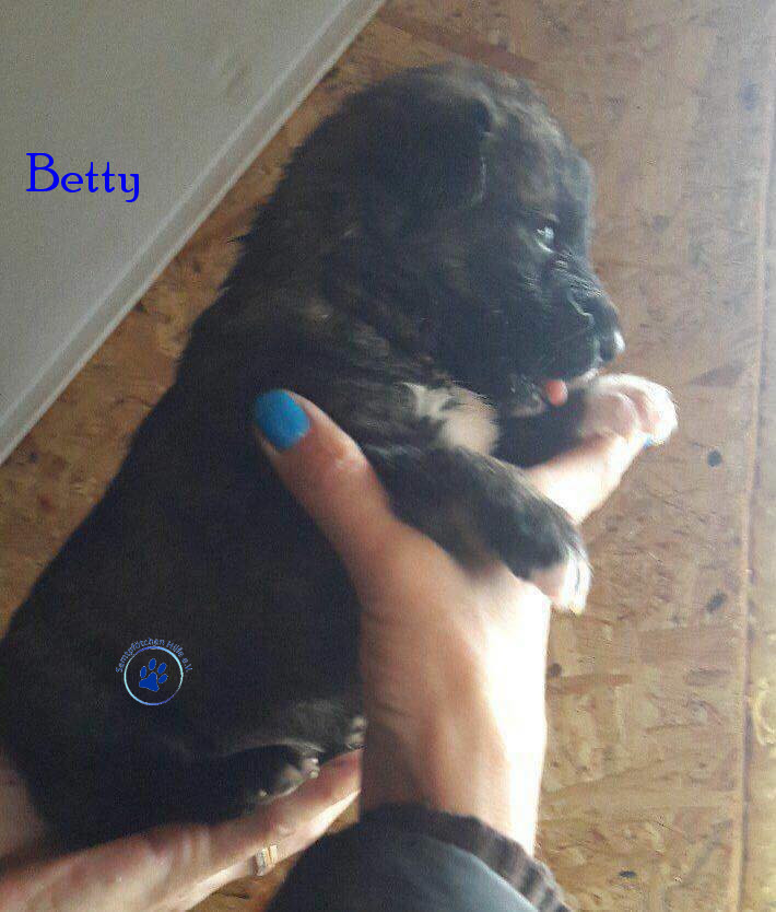 Elena/Hunde/Betty/Betty06mN.jpg