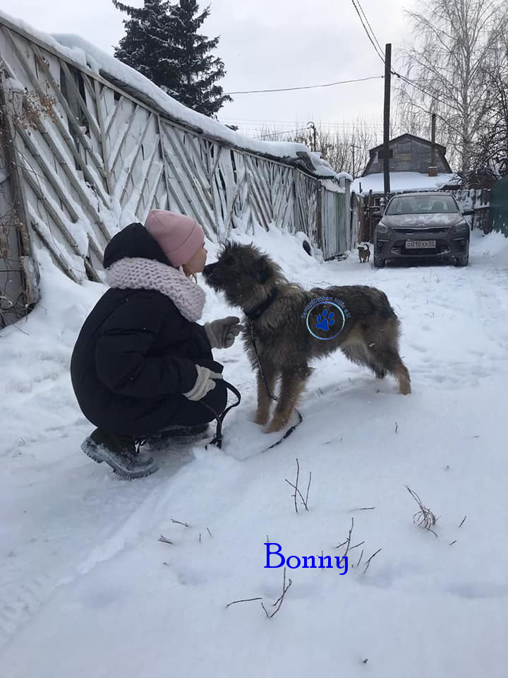 Elena/Hunde/Bonny/Bonny29mN.jpg