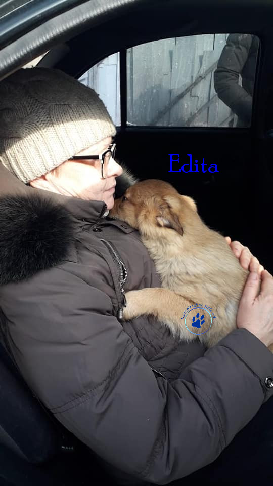 Elena/Hunde/Edita/Edita09mN.jpg