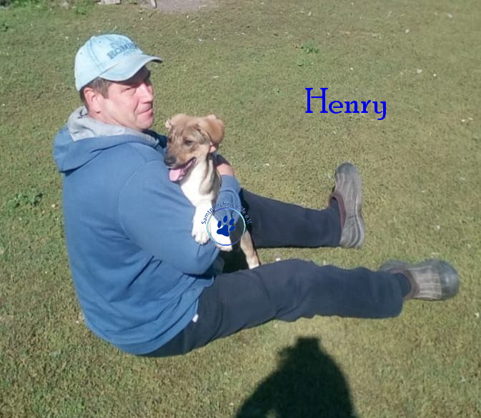 Elena/Hunde/Henry/Henry06mN.jpg