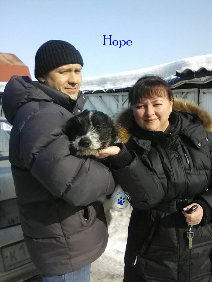 Elena/Hunde/Hope/Hope08mN.jpg