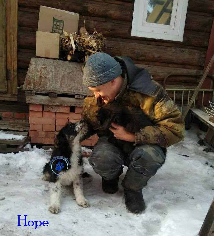 Elena/Hunde/Hope/Hope09mN.jpg