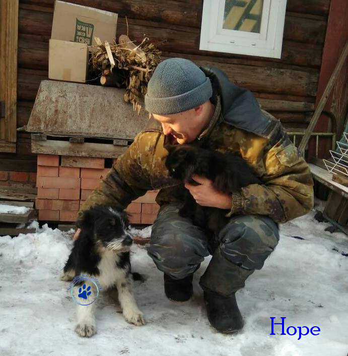 Elena/Hunde/Hope/Hope11mN.jpg