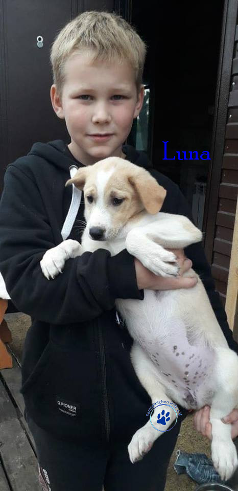 Elena/Hunde/Luna/Luna03mN.jpg