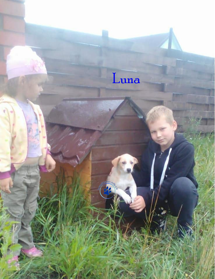 Elena/Hunde/Luna/Luna04mN.jpg