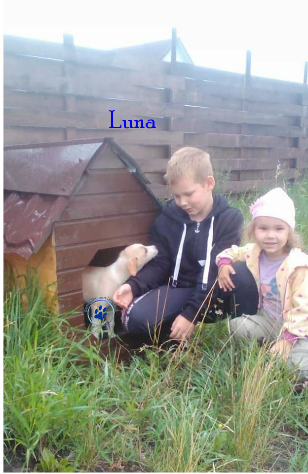 Elena/Hunde/Luna/Luna05mN.jpg
