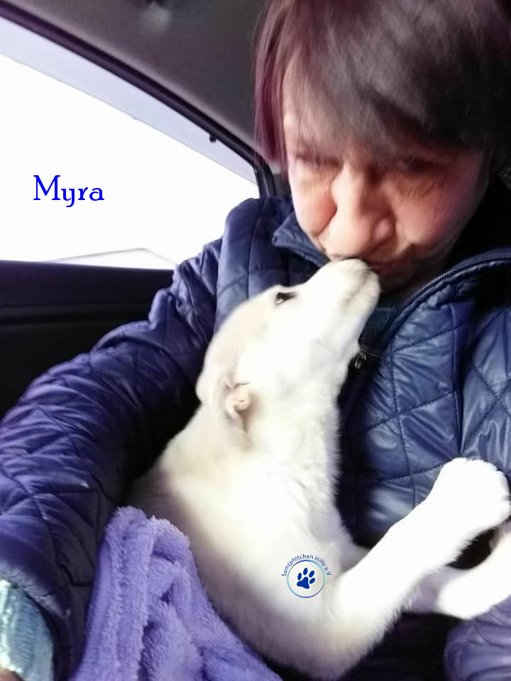 Elena/Hunde/Myra/Myra15mN.jpg