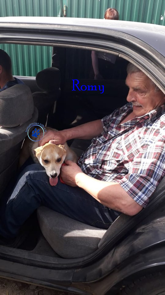 Elena/Hunde/Romy/Romy09mN.jpg