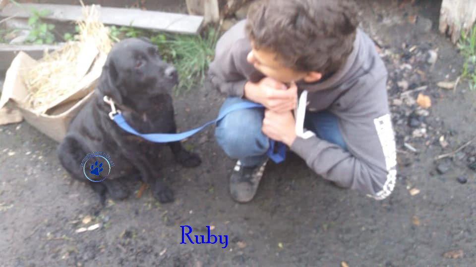 Elena/Hunde/Ruby/Ruby01mN.jpg