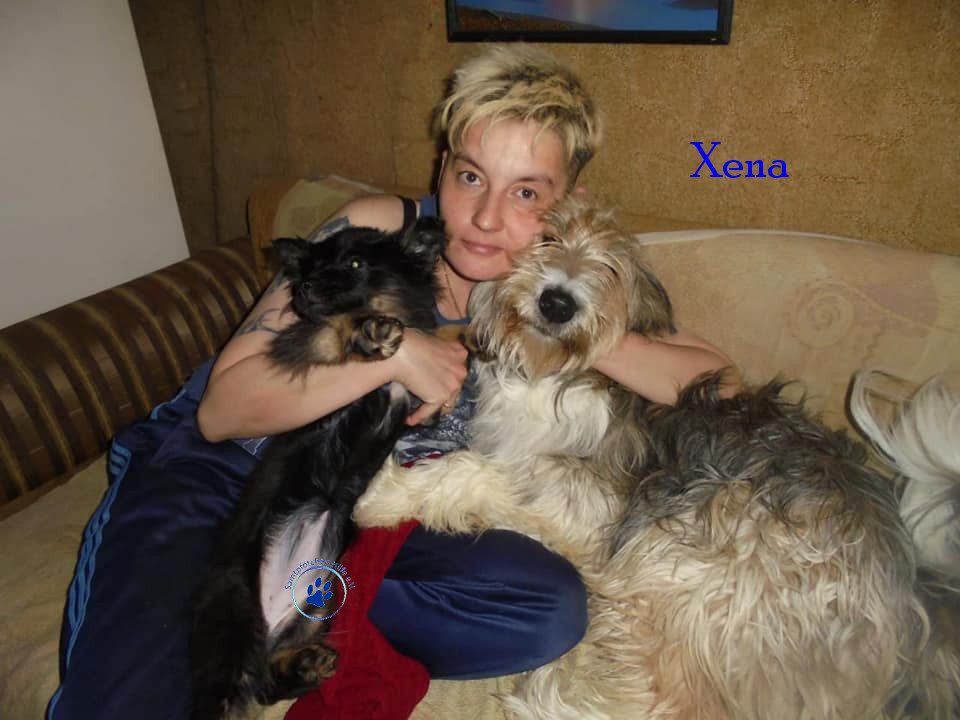 Elena/Hunde/Xena/Xena11mN.jpg