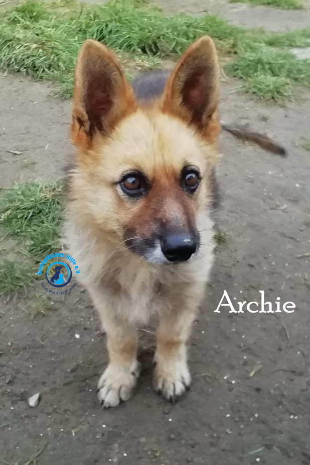 Archie