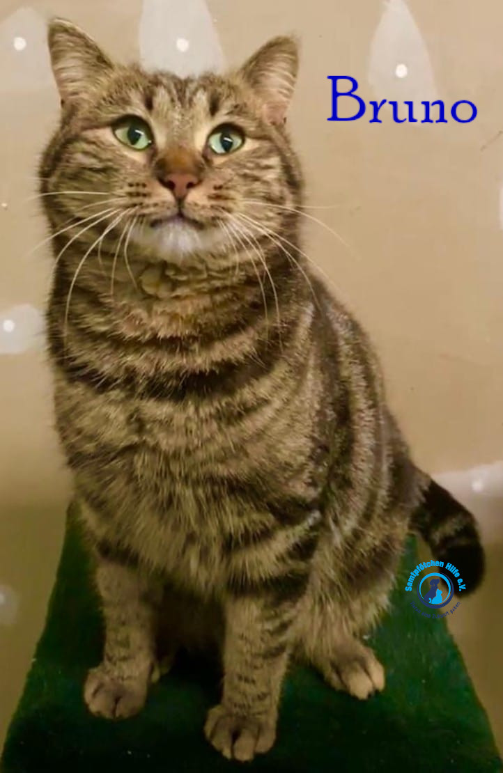 Bruno
