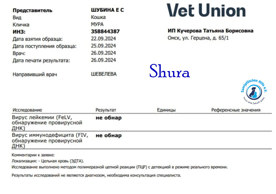 Fremde_Katzen/Shura_II/Shura_II08mN.jpg