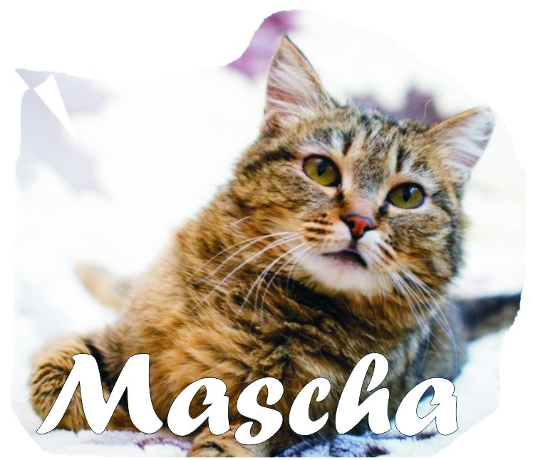 Mascha