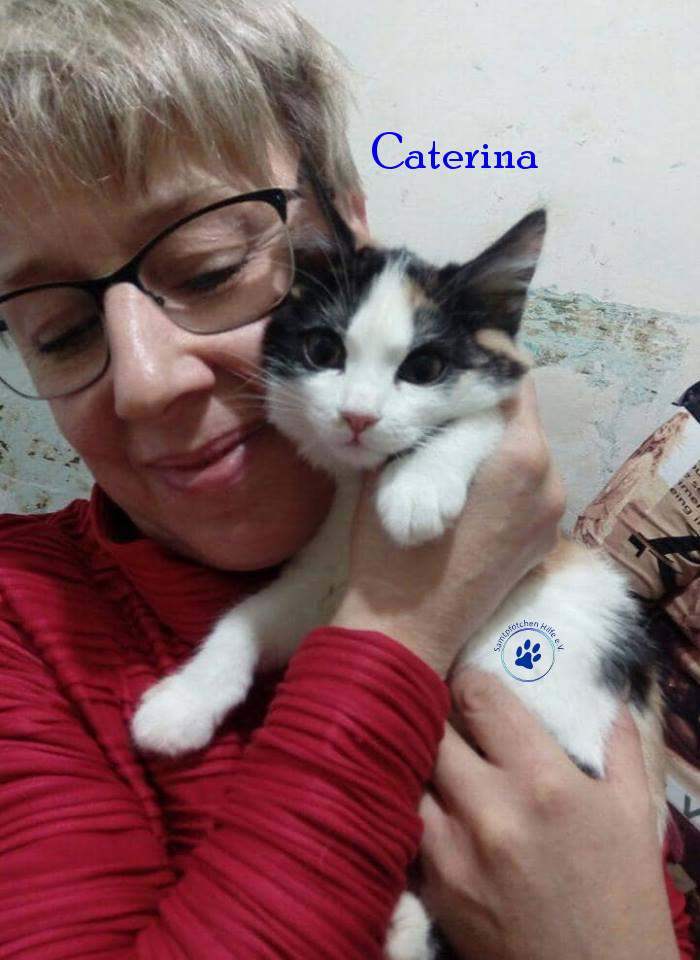 Irina/Katzen/Caterina/Caterina05mN.jpg