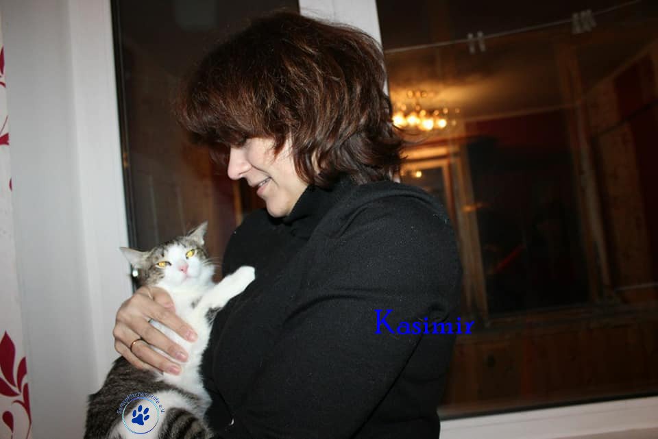 Irina/Katzen/Kasimir/Kasimir04mN.jpg
