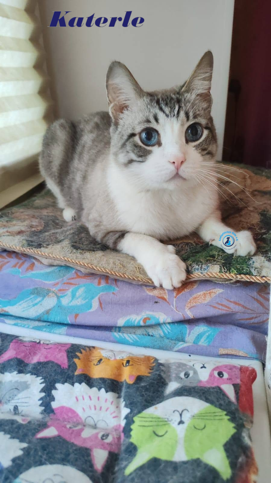 Katerle
