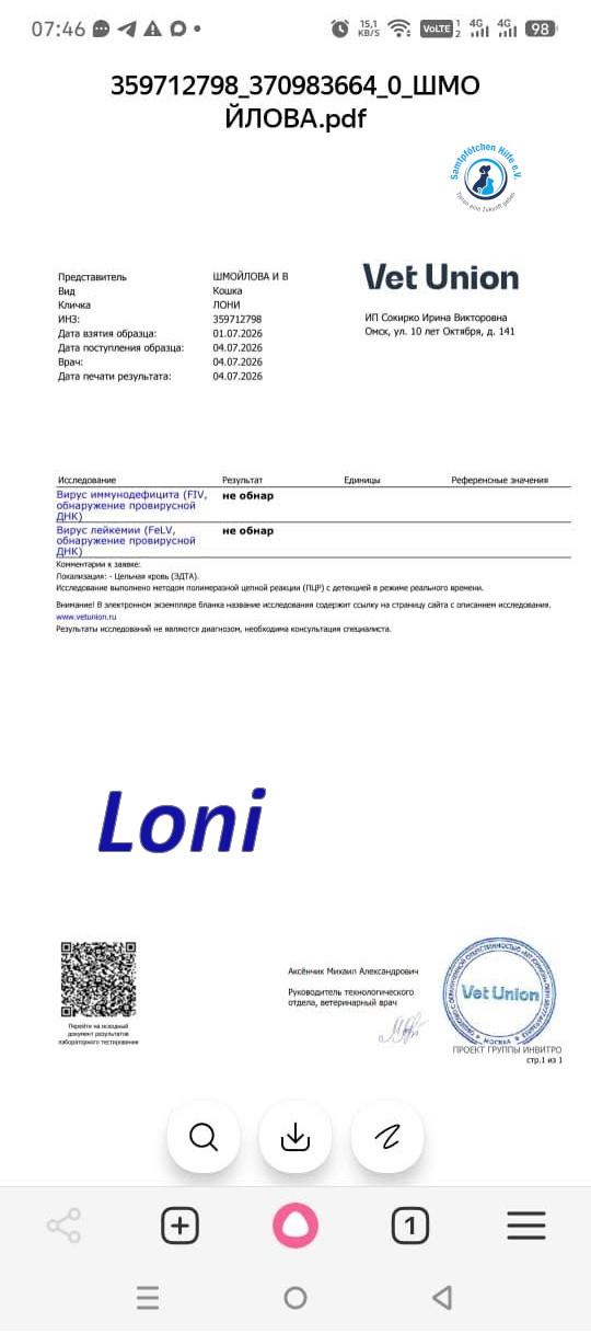 Irina/Katzen/Loni/Loni_20mN.jpg