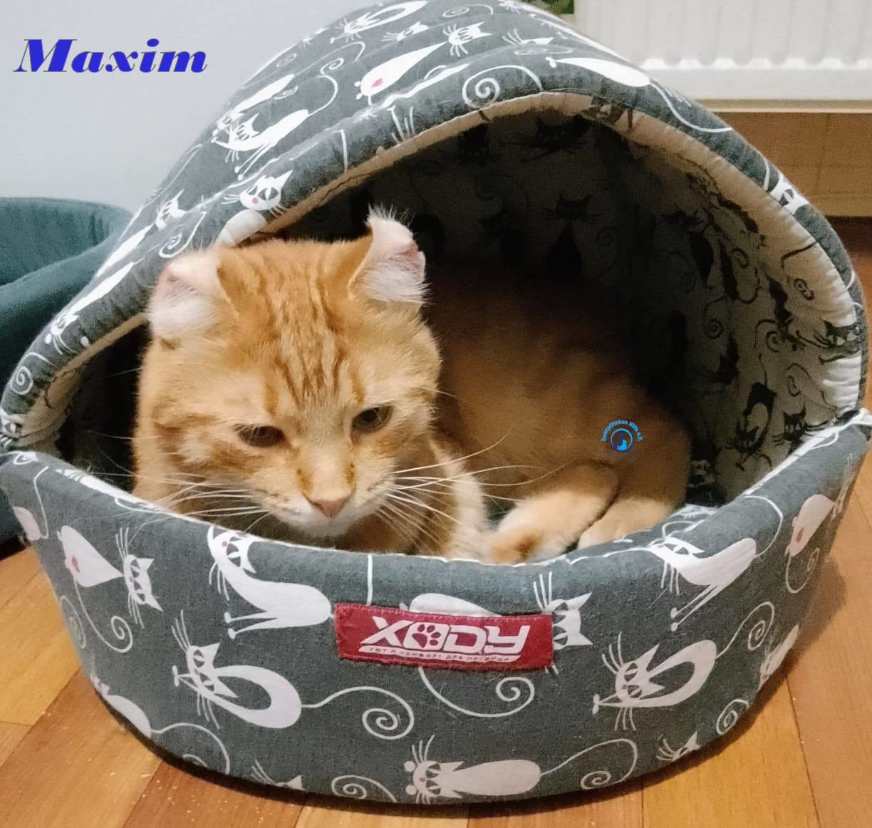 MaximII