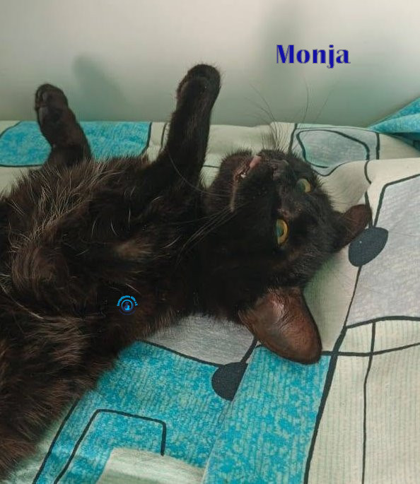 MonjaIII