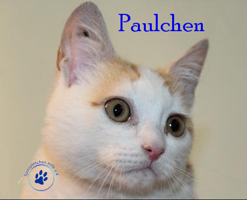 Paulchen