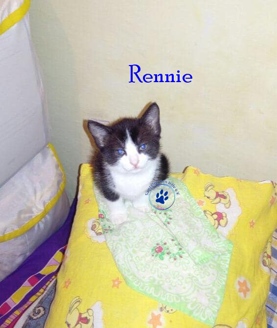 Irina/Katzen/Rennie/Rennie05mN.jpg