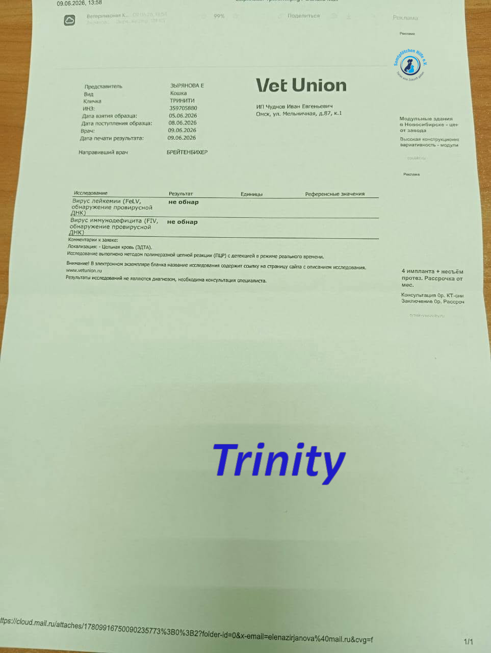 Irina/Katzen/Trinity/Trinity_06mN.jpg
