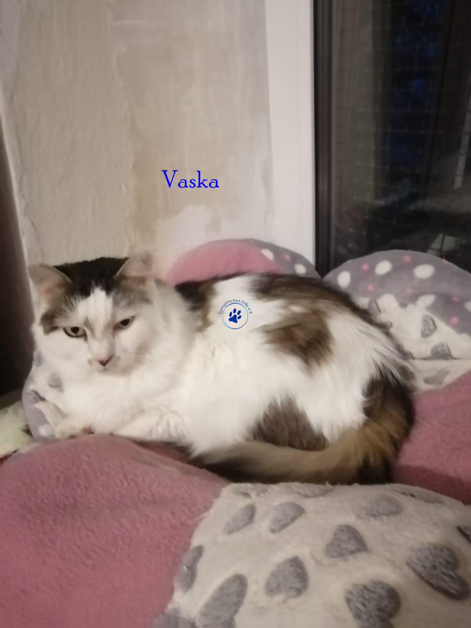 Vaska