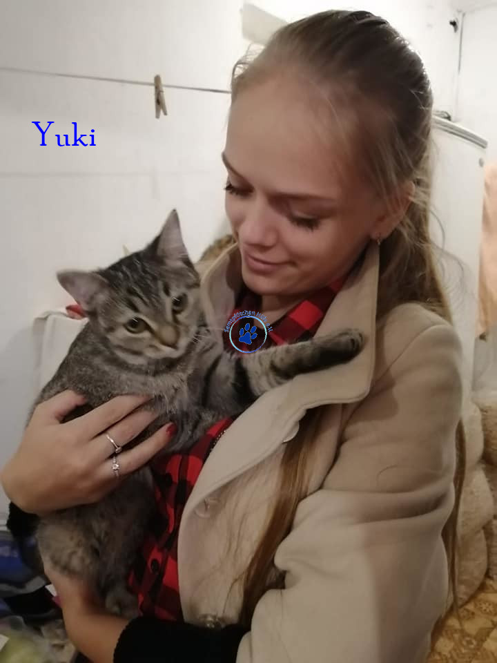 Irina/Katzen/Yuki/Yuki08mN.jpg