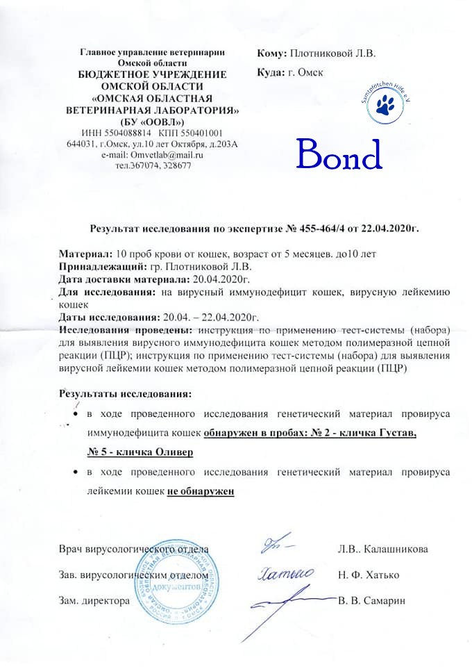 Lyudmila/Katzen/Bond/Bond_14mN.jpg