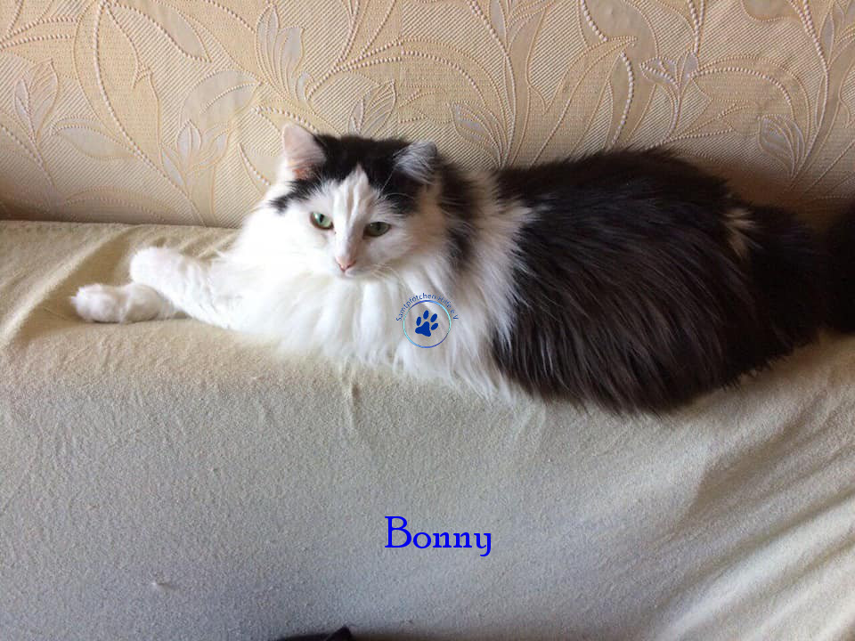 Bonny