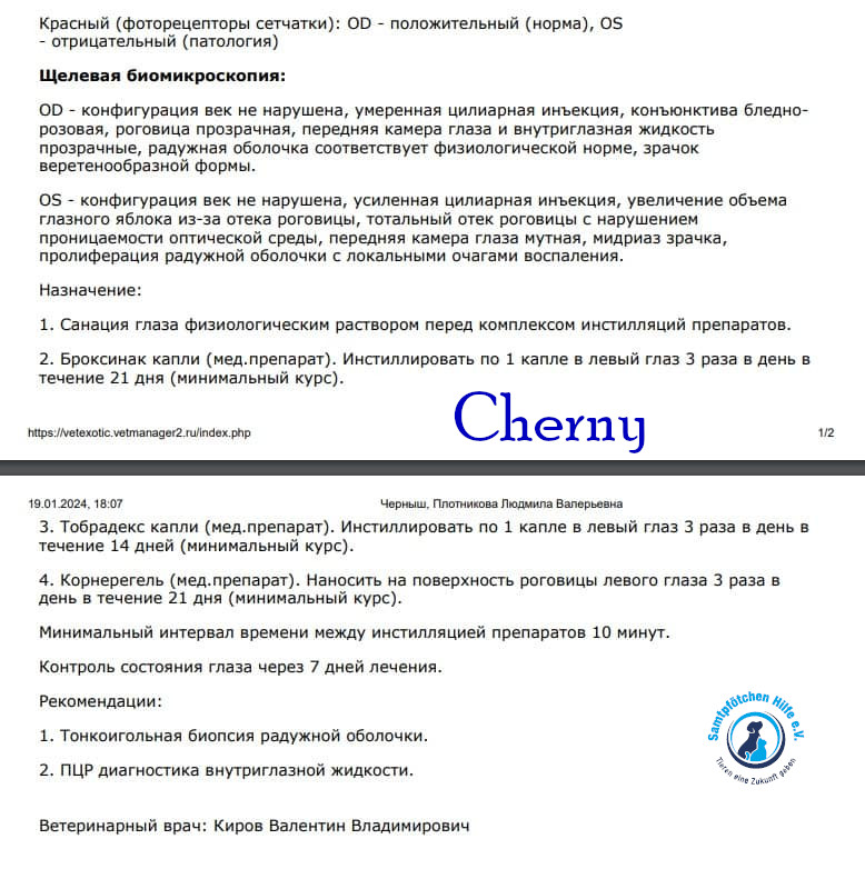 Lyudmila/Katzen/Chernyy/Cherny39mN.jpg