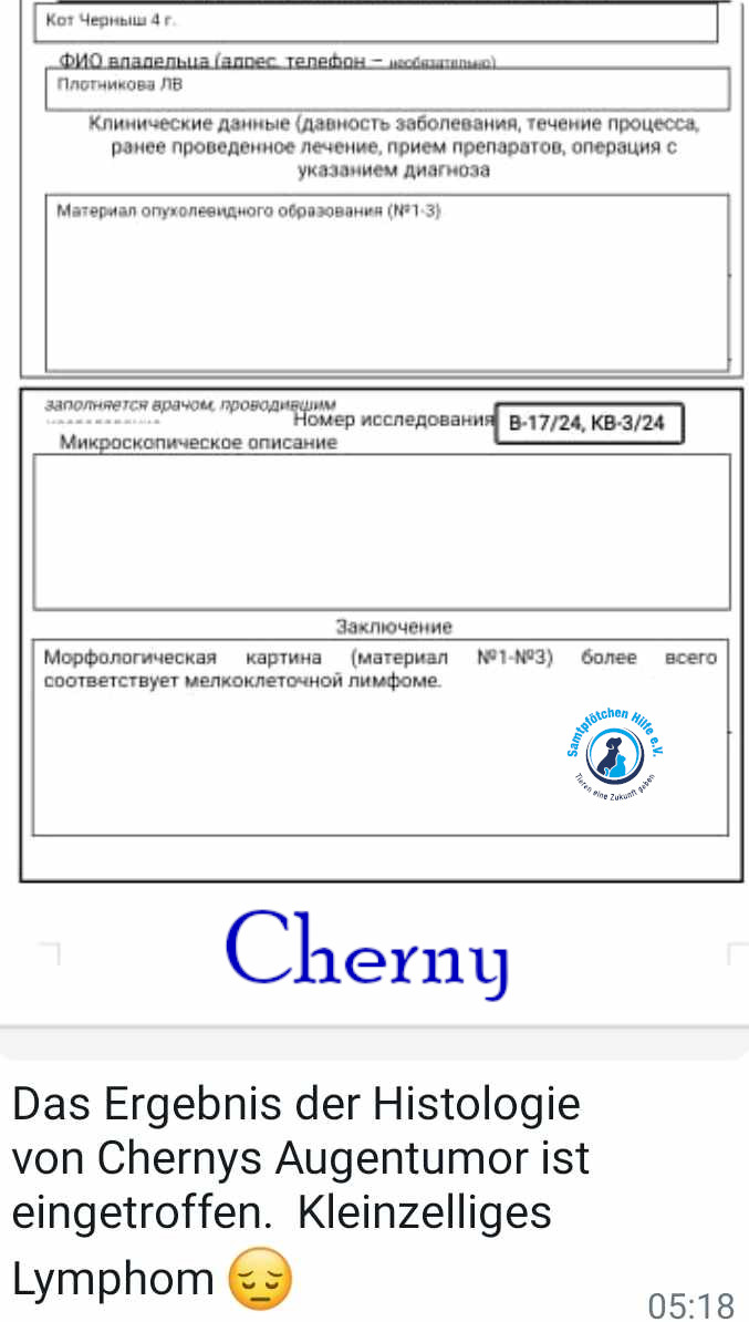 Lyudmila/Katzen/Chernyy/Cherny49mN.jpg