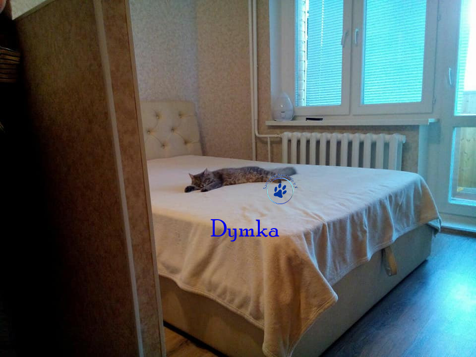 Lyudmila/Katzen/Dymka/Dymka12mN.jpg