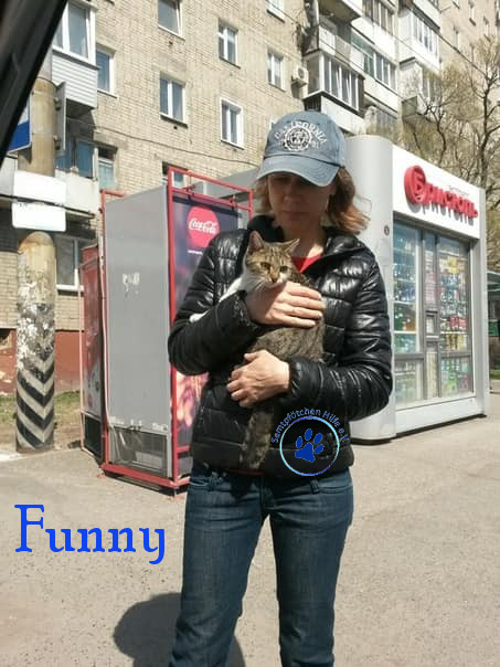 Lyudmila/Katzen/Funny/Funny01mN.jpg