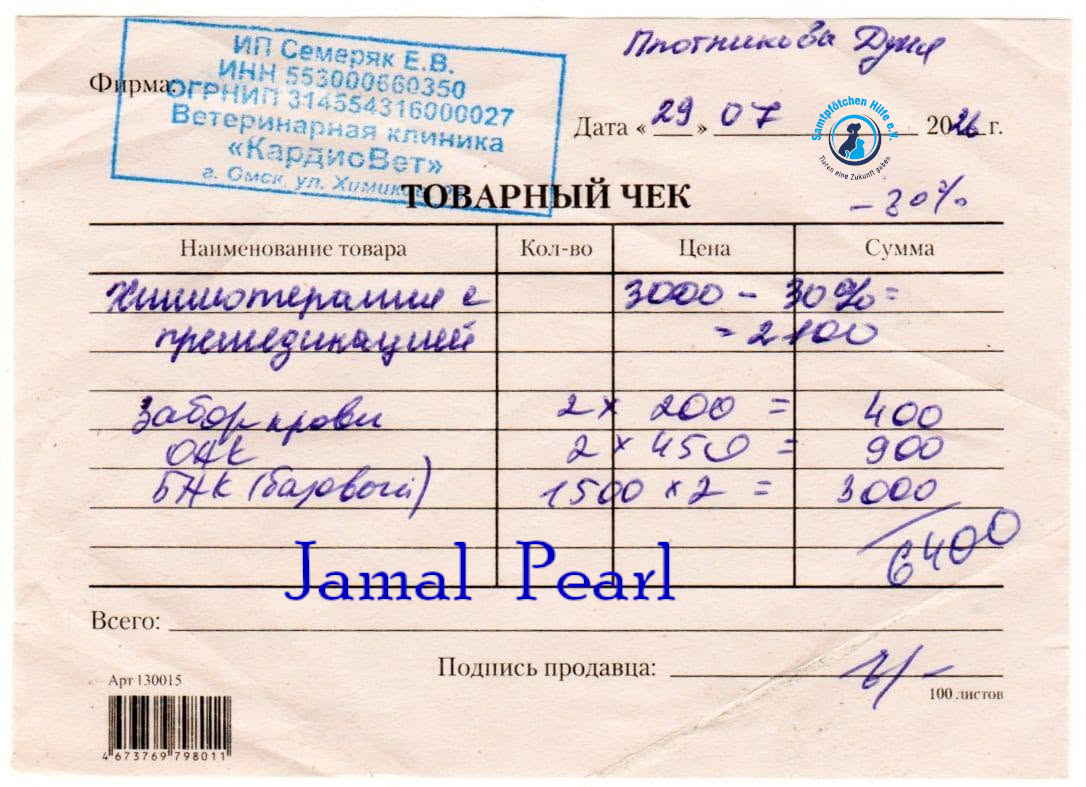 Lyudmila/Katzen/Jamal/Jamal19mN.jpg