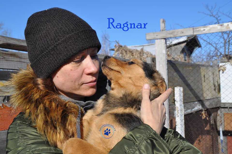 Lyudmila/Katzen/Ragnar/Ragnar12mN.jpg