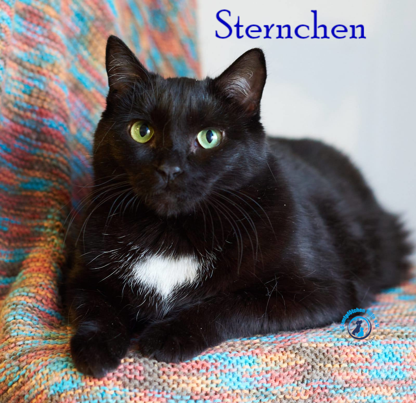 Sternchen