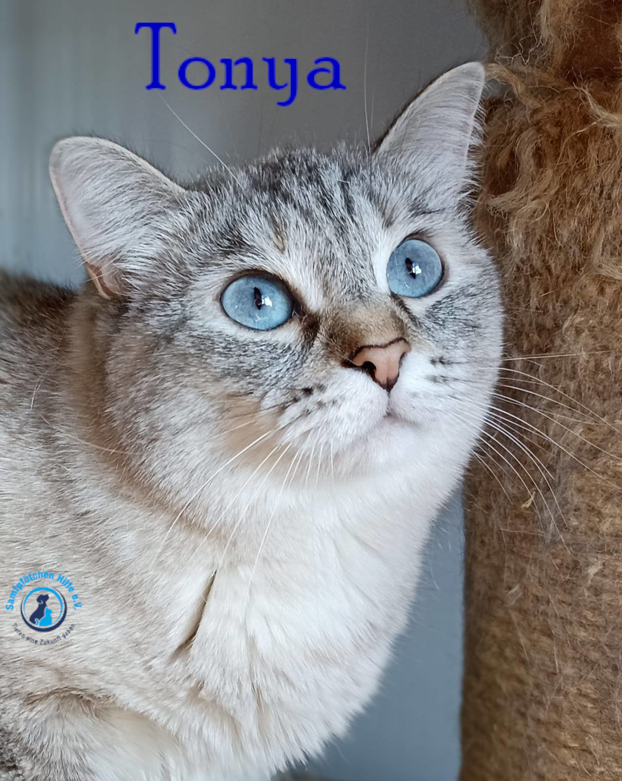 Lyudmila/Katzen/Tonya/Tonya19mN.jpg