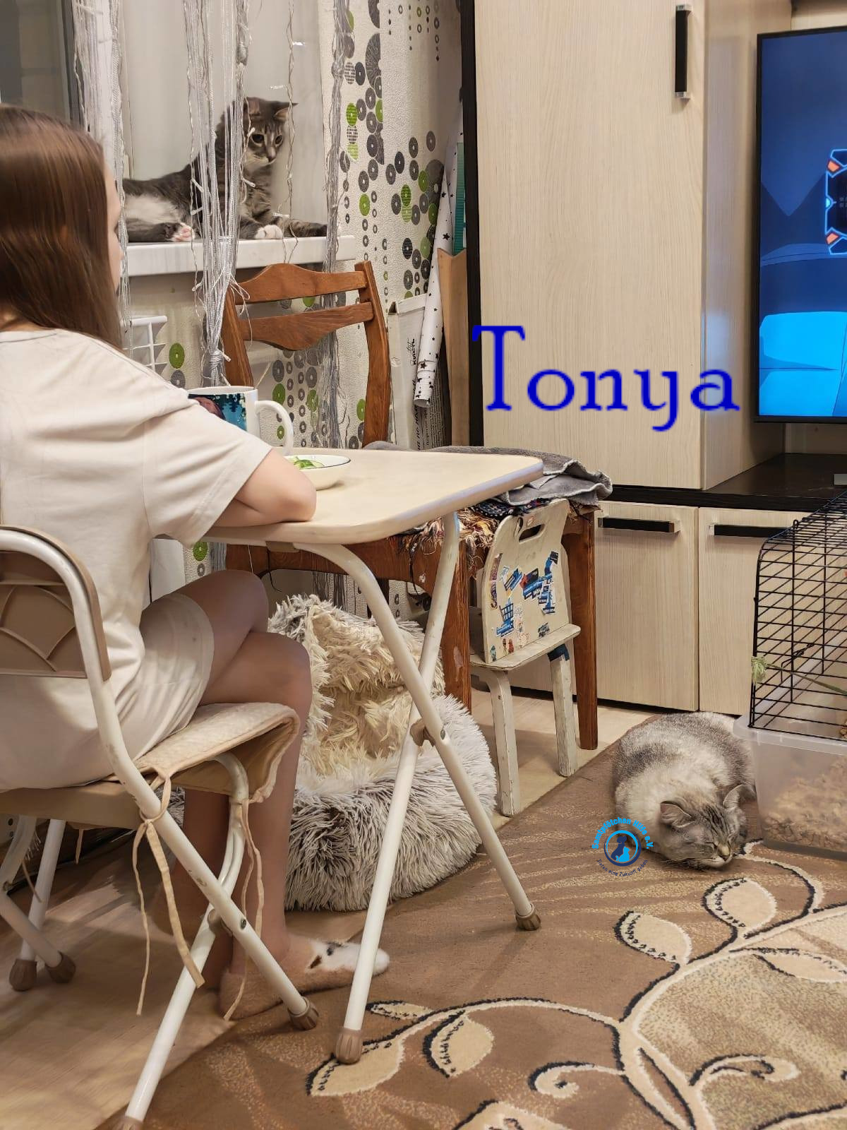 Lyudmila/Katzen/Tonya/Tonya21mN.jpg