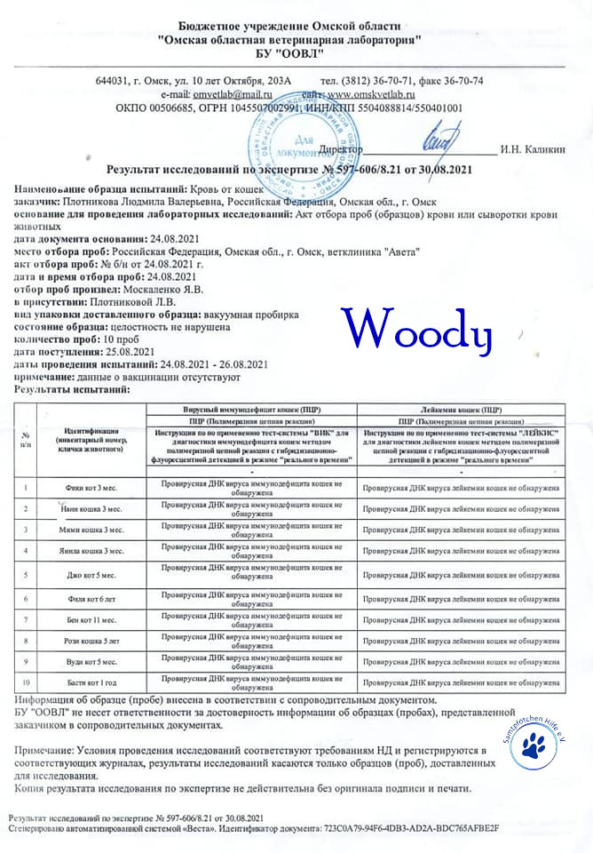 Lyudmila/Katzen/Woody_II/Woody_II09mN.jpg