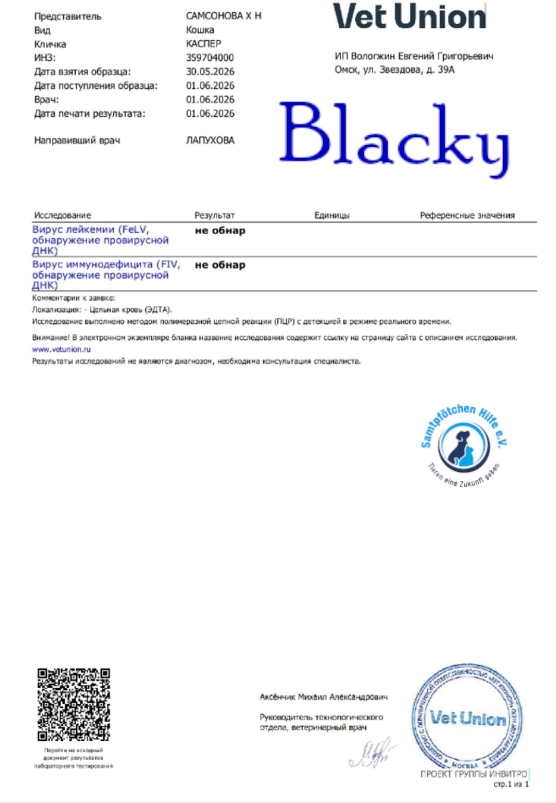 Nadezhda/Katzen/Blacky_II/Blacky_II30mN.jpg