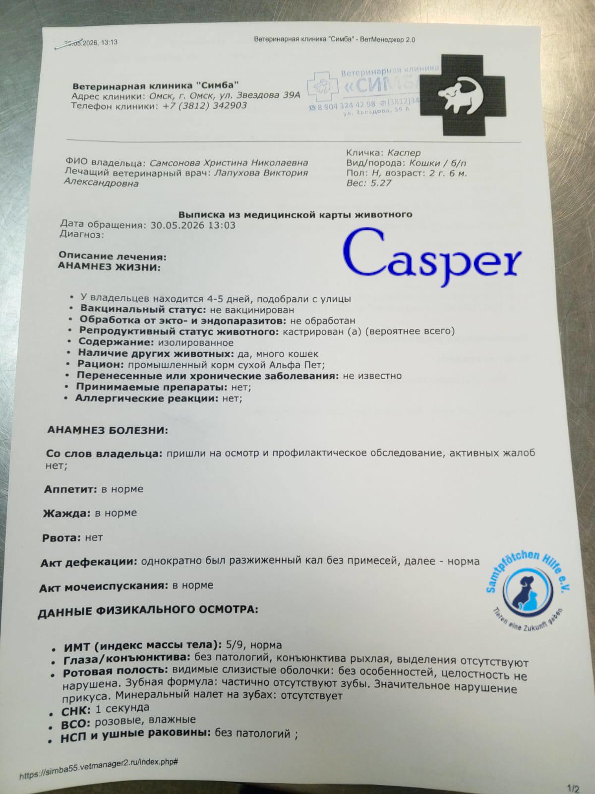 Nadezhda/Katzen/Casper/Casper21mN.jpg