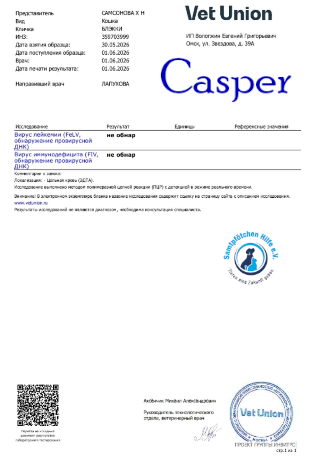 Nadezhda/Katzen/Casper/Casper30mN.jpg