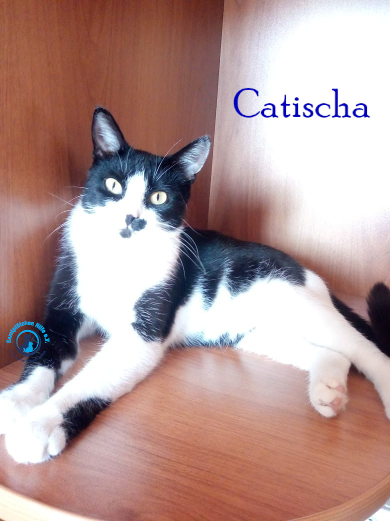 Nadezhda/Katzen/Catisha/Catisha32mN.jpg
