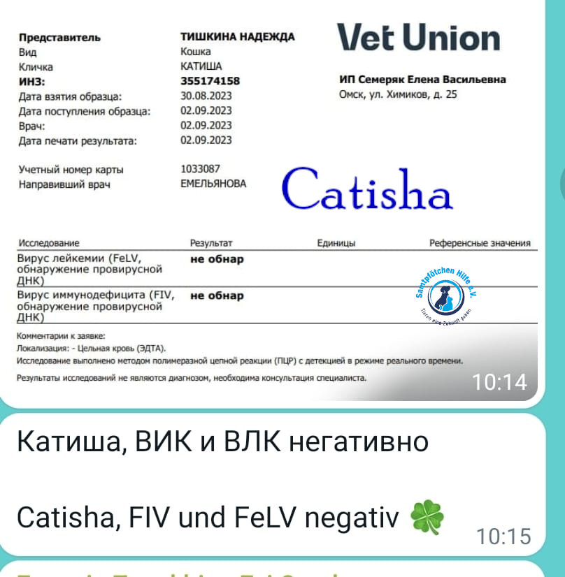 Nadezhda/Katzen/Catisha/Catisha45mN.jpg