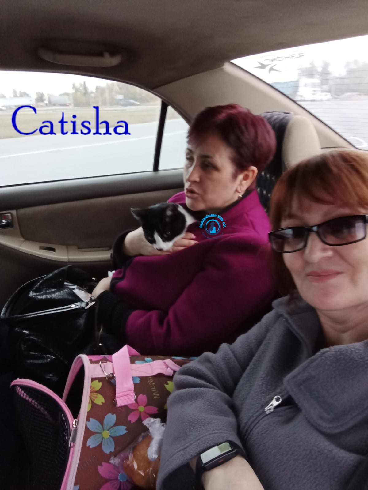 Nadezhda/Katzen/Catisha/Catisha52mN.jpg