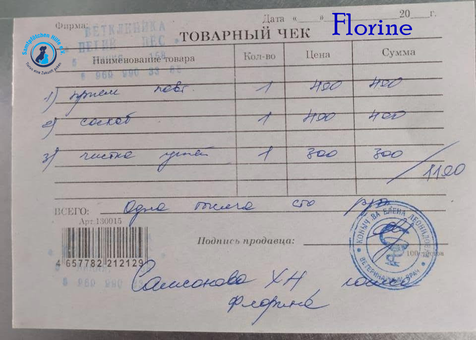 Nadezhda/Katzen/Florine/Florine35mN.jpg